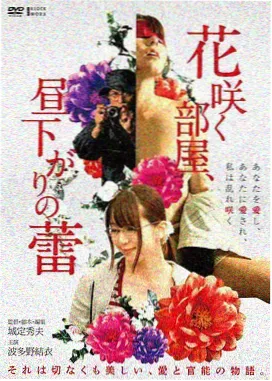 全球风暴 完整版